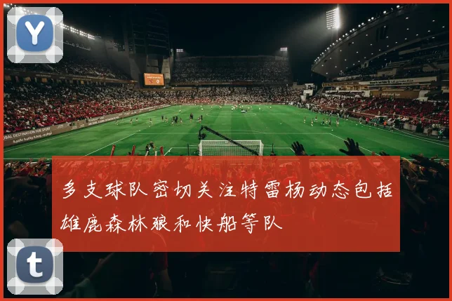 多支球队密切关注特雷杨动态包括雄鹿森林狼和快船等队
